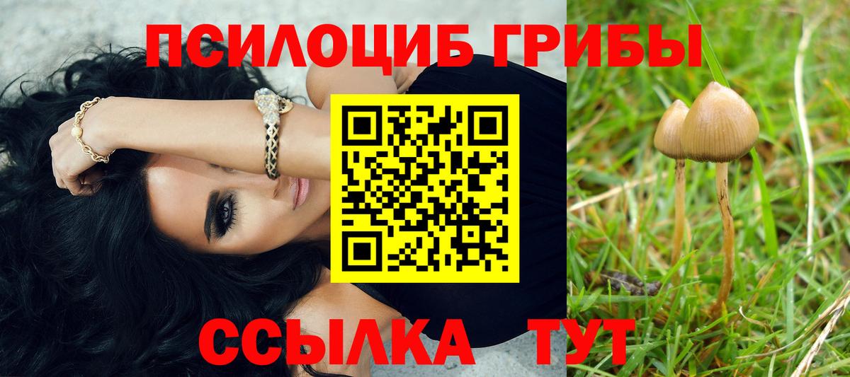 Галлюциногенные грибы мицелий Кушва